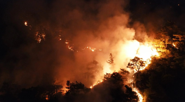 Gökova'da orman yangını sürüyor