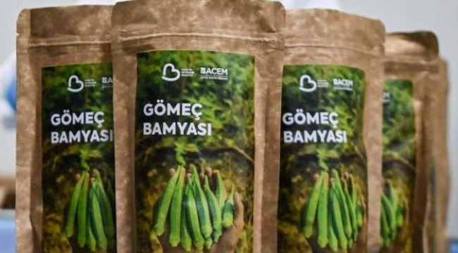 Gömeç bamyası cips yapıldı, 41 dolara dünya pazarlarında
