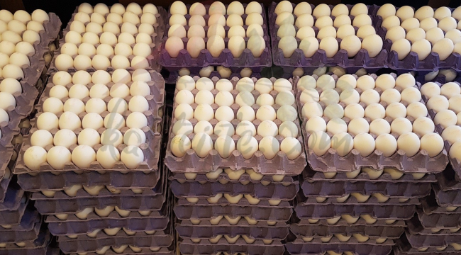 Gördes belediyesi halk yumurta satışlarına başladı