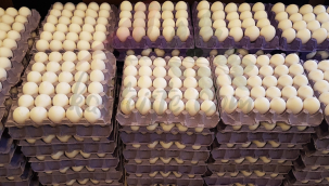 Gördes belediyesi halk yumurta satışlarına başladı