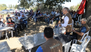Gördes'de sorgum sudan otunun hasadı başladı