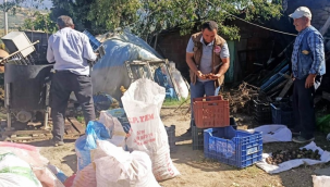 İlçe tarım müdürlüğü ekiplerinden çaviz ve zeytin ürticilerine destek
