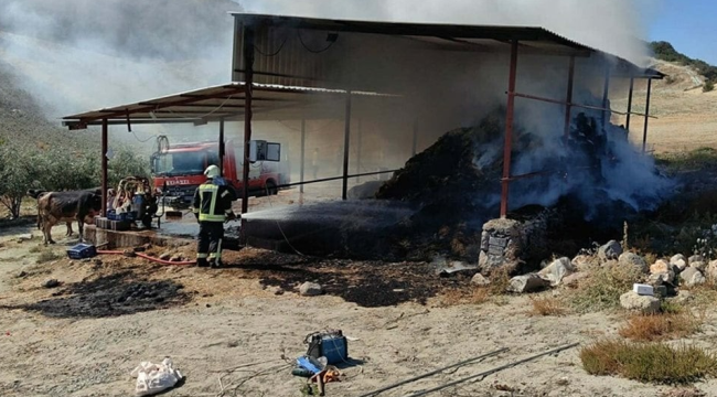 Manisa'da ahırda yangın çıktı, 7 inek telef oldu
