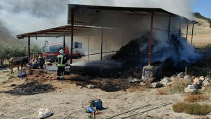 Manisa'da ahırda yangın çıktı, 7 inek telef oldu