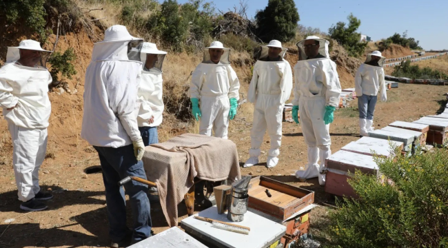 Manisa'da bal referans numune alma çalışmaları başladı