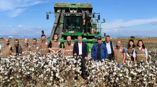 Manisa'da pamuk ekenlerin sayısı 2.234