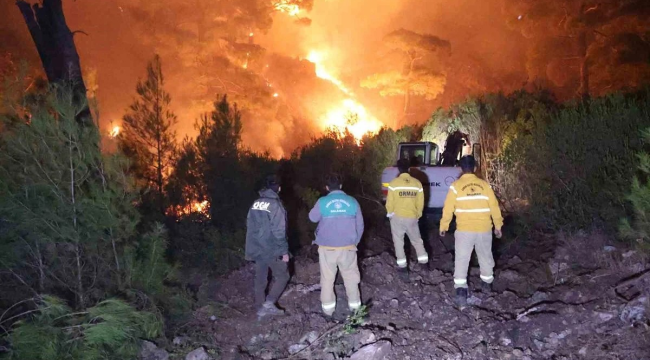 Muğla'da orman yangını