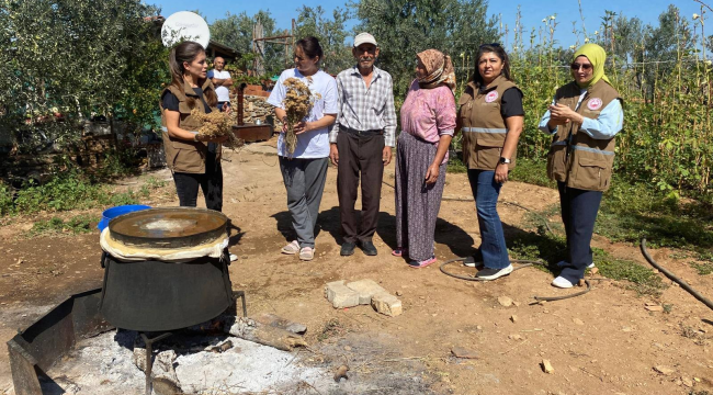 Salihli'de kekik suyu üretimi