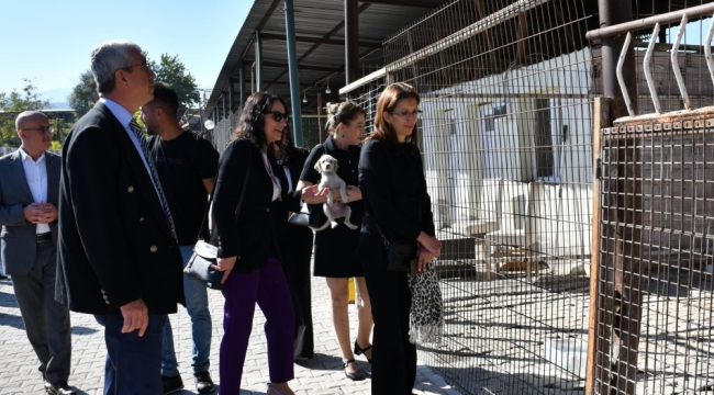 Sokak Hayvanları komisyonu, Ahmetli ve Turgutlu'da bakımevlerini ziyaret etti
