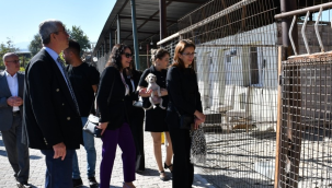 Sokak Hayvanları komisyonu, Ahmetli ve Turgutlu'da bakımevlerini ziyaret etti