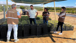  Tohumluk bayi belgesi almak için başvuran işyerleri denetlendi