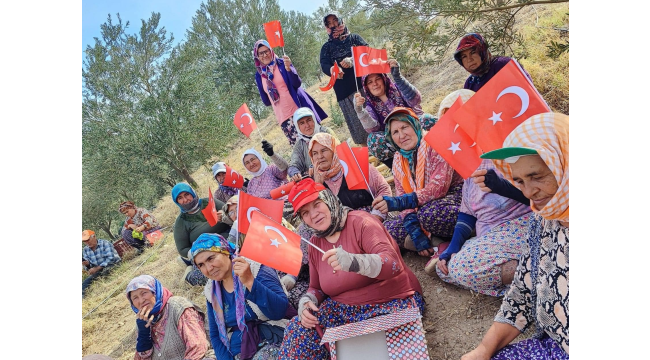 İşçiler zeytin tarlasında cumhuriyeti kutlandı