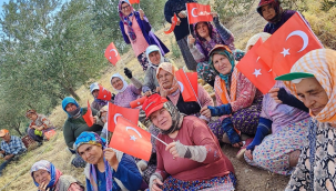 İşçiler zeytin tarlasında cumhuriyeti kutlandı