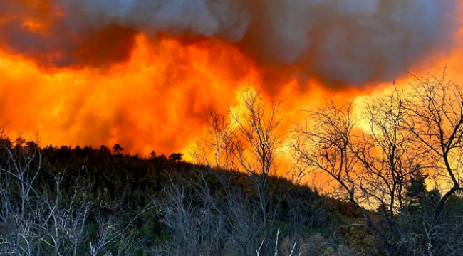 Bursa'daki orman yangını Balıkesir'ede sıçradı
