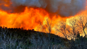 Bursa'daki orman yangını Balıkesir'ede sıçradı