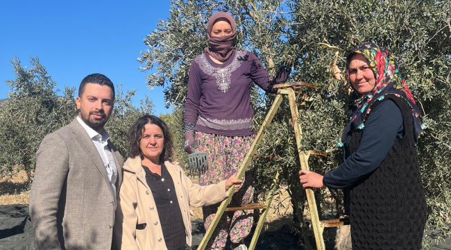 CHP'den zeytin tepkisi!