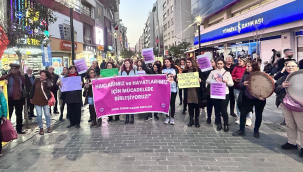 Kadınlar 25 kasımda alanlara çıkacak