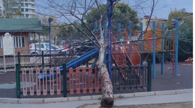 Manisa'da fırtına etkili oldu