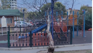 Manisa'da fırtına etkili oldu