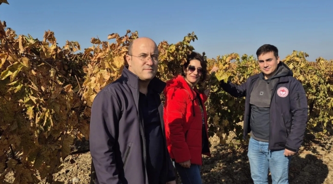 Manisa üzüm platformu arazi kontrolü başladı