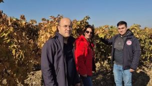 Manisa üzüm platformu arazi kontrolü başladı