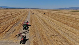 Marmara gölü arazisini tarıma açan TİGEM'in kararını mahkeme iptal etti