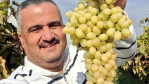 Üzümünü bağında bekletenler daha fazla kazanıyor