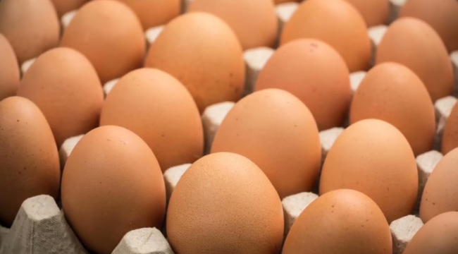 Yumurtanın tanesi 8 lira oldu