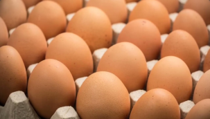 Yumurtanın tanesi 8 lira oldu