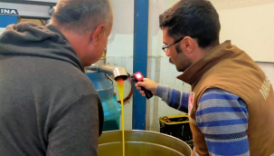 Zeytin ve zeytinyağı işletmelerinde denetimler sıklaştırıldı