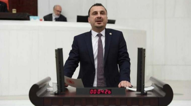 Başevirgen yıkılan ve yenileri yapılmayan okulları TBMM gündemine taşıdı