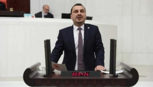 Başevirgen yıkılan ve yenileri yapılmayan okulları TBMM gündemine taşıdı