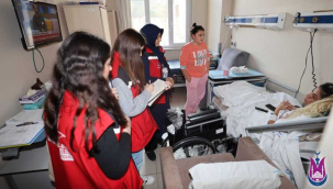 Belediye şiddet gören kadınlara yardım elini uzattı