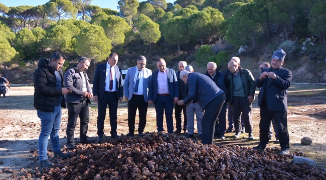 Çam fıstğı toplantısı >Bergama'da yapıldı
