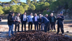 Çam fıstğı toplantısı >Bergama'da yapıldı