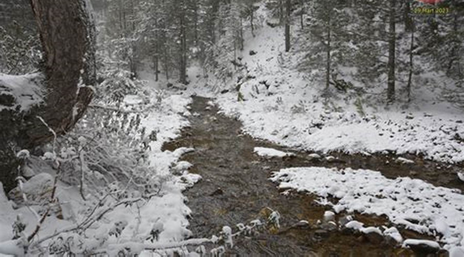 Manisa'da sağanak yağış ve yoğun kar uyarısı