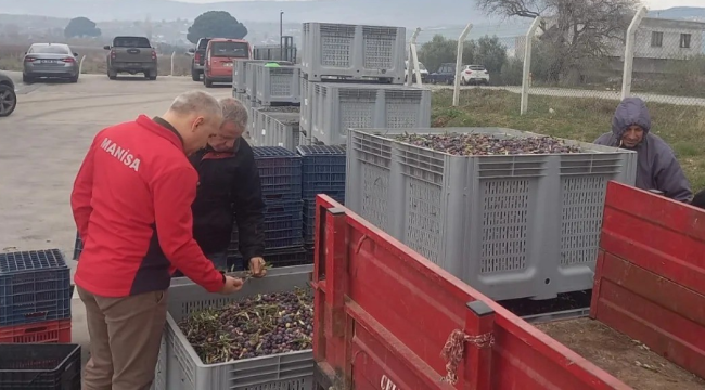 Müdür Öztürk zeytinyağı işletmelerini ziyaret etti