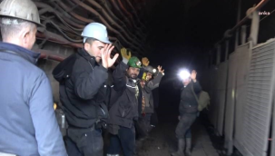 Somalı işçiler kömür ithalatına tepki gösterdi