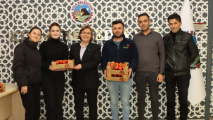 Agro markasıyla iç ve dış piyasada satılacak domates hasadına başlandı