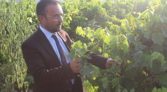 Çiftçiye sahip çıkan başkan İksir,AKP hükümetine yüklendi