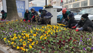 Gölmarmara çiçek açtı