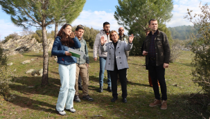 Kula'da sokak hayvanları için yeni barınak projesi