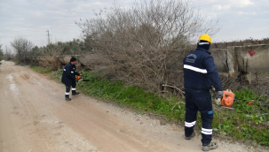 Odunlar ihtiyaç sahiplerine yakacak olarak verilecek