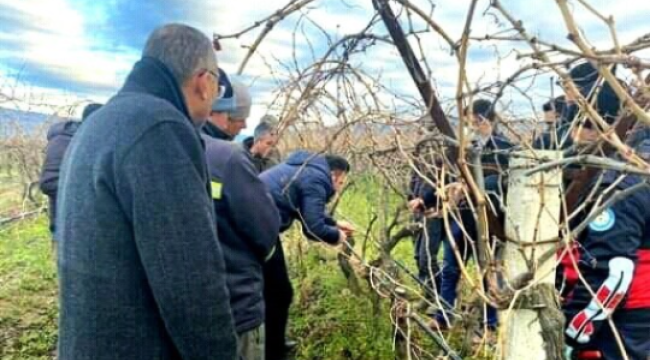 Salihli'de tarım işçi ücretleri belli Oldu
