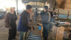 Sarıgöl'de tütün alımları başladı