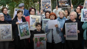 Yasayı protesto ettiler