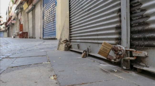 Yatırımcıların yüzde 85'i tercihlerini limited şirketten yana kullanıyor