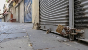 Yatırımcıların yüzde 85'i tercihlerini limited şirketten yana kullanıyor