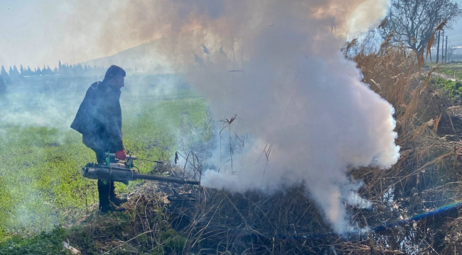 Akhisar'da haşereyle mücadele başladı