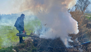 Akhisar'da haşereyle mücadele başladı